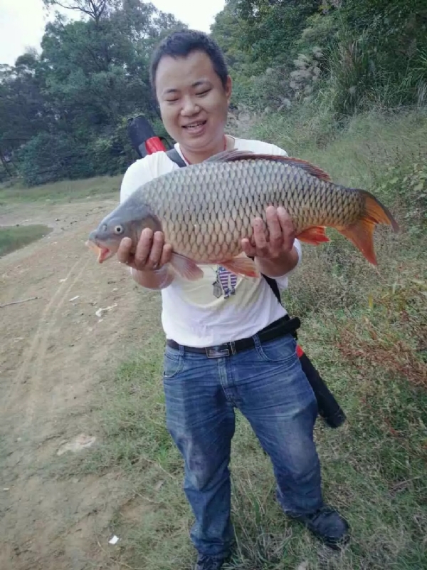 迷路的男人的第一张照片--怀化残疾人相亲网